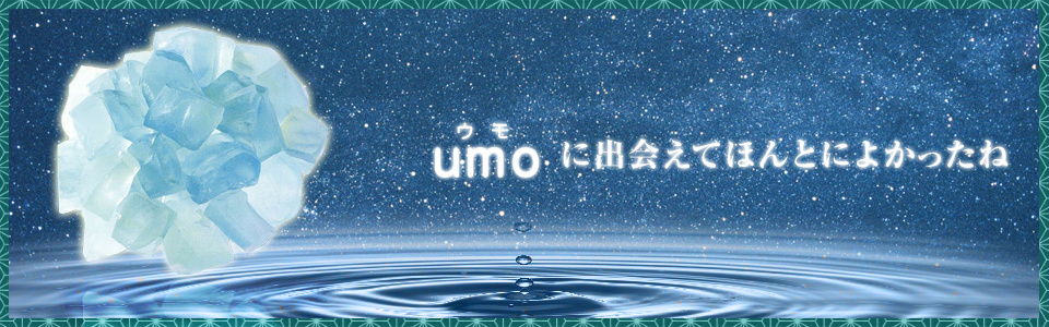 商品詳細 水溶性珪素「umo」濃縮溶液 (500ml) | 珪素 umo(ウモ) | 株式